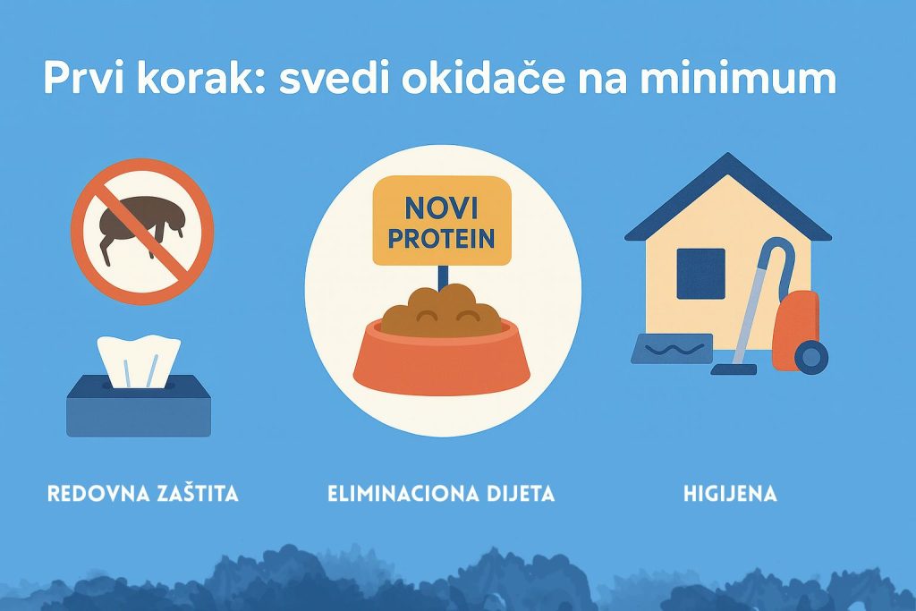 Alergija kod pasa slika 4