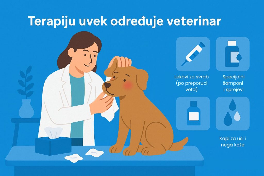 Alergija kod pasa slika 5