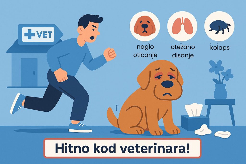 Alergija kod pasa slika 6