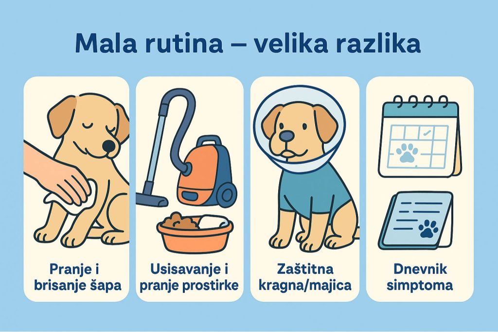 Alergija kod pasa slika 7