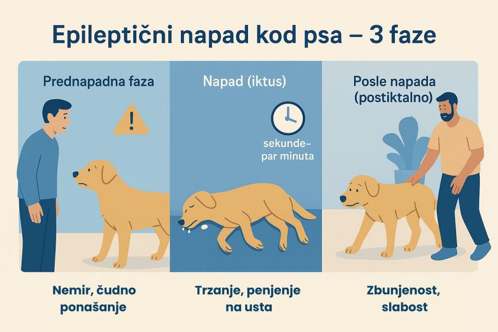 Epilepsija kod pasa slika 2