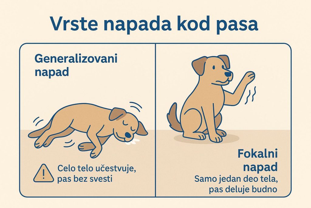 Epilepsija kod pasa slika 3
