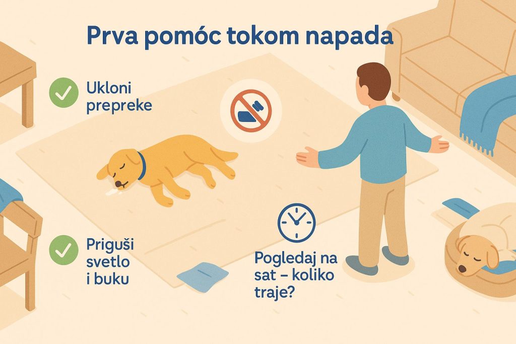 Epilepsija kod pasa slika 6