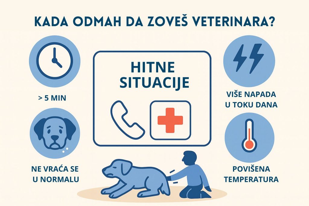 Epilepsija kod pasa slika 7