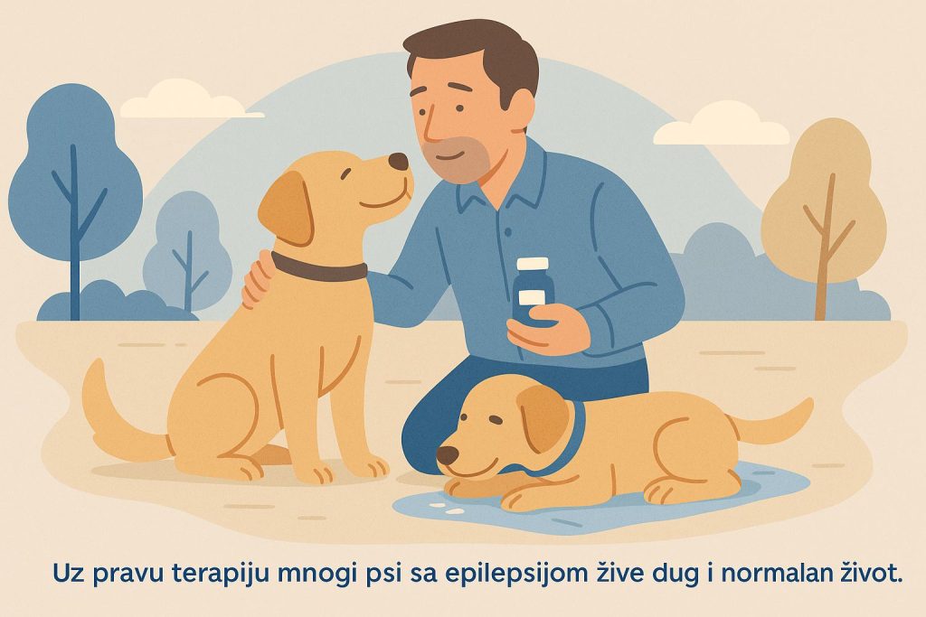 Epilepsija kod pasa slika 8