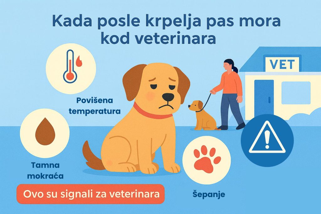Krpelj kod pasa slika 7
