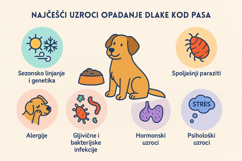 Opadanje dlake kod pasa slika 3