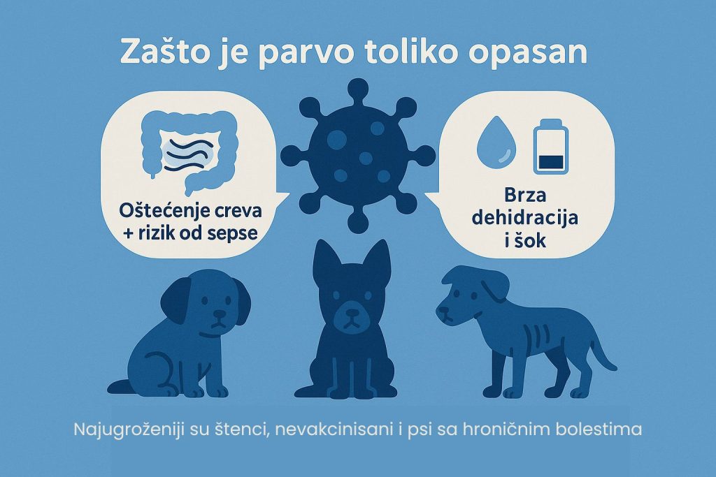 Parvovirus kod pasa slika 2