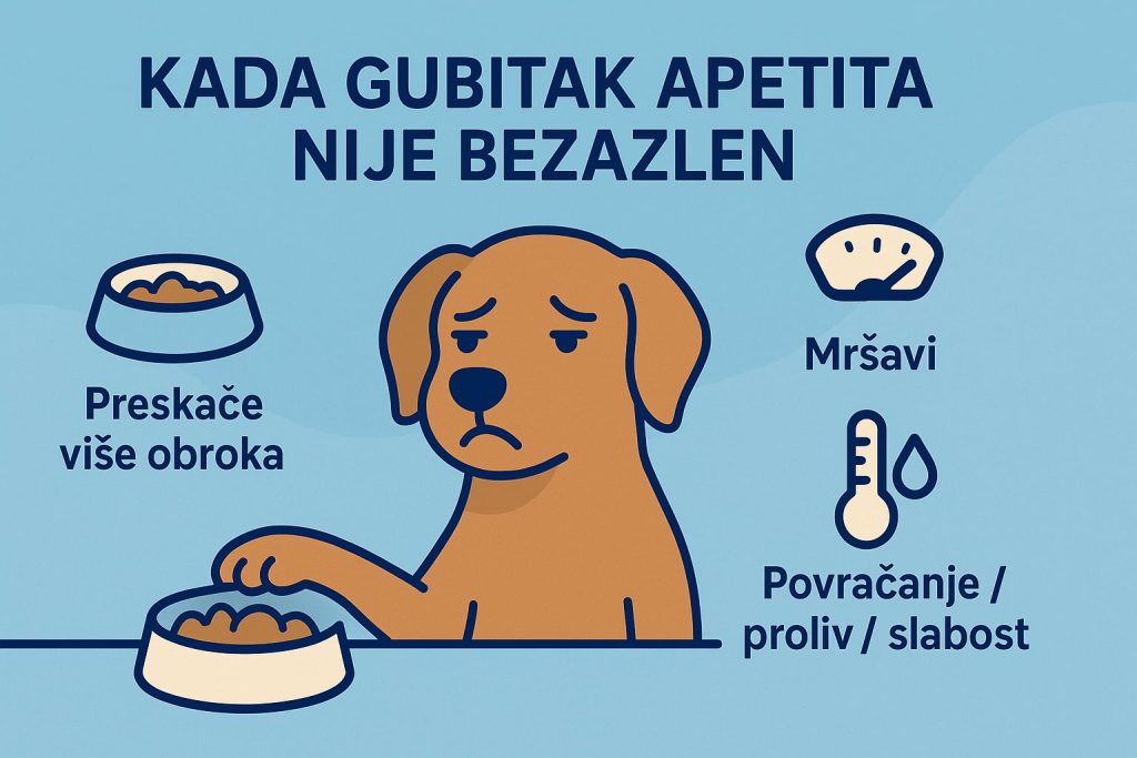 Pas neće da jede slika 2
