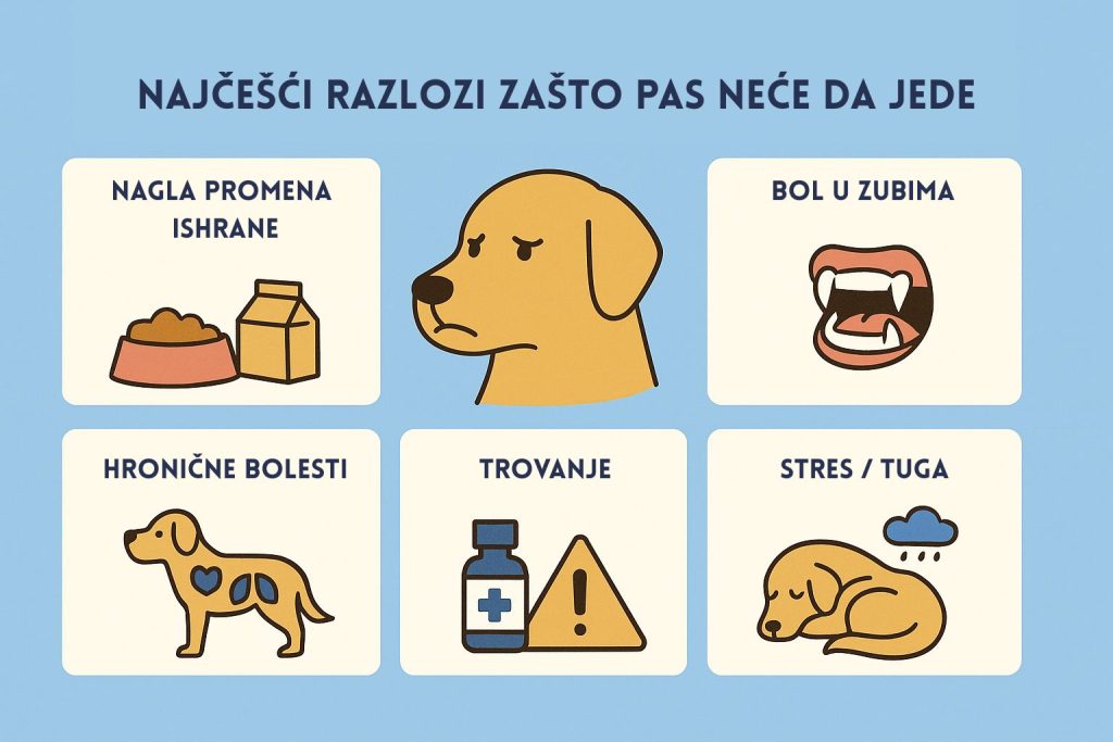 Pas neće da jede slika 3