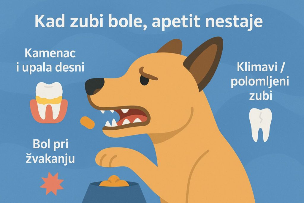 Pas neće da jede slika 4