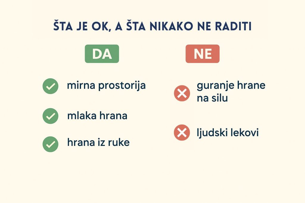 Pas neće da jede slika 5