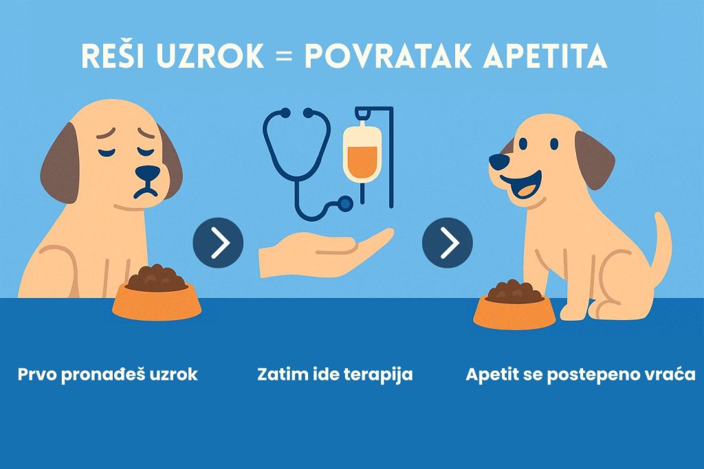 Pas neće da jede slika 6