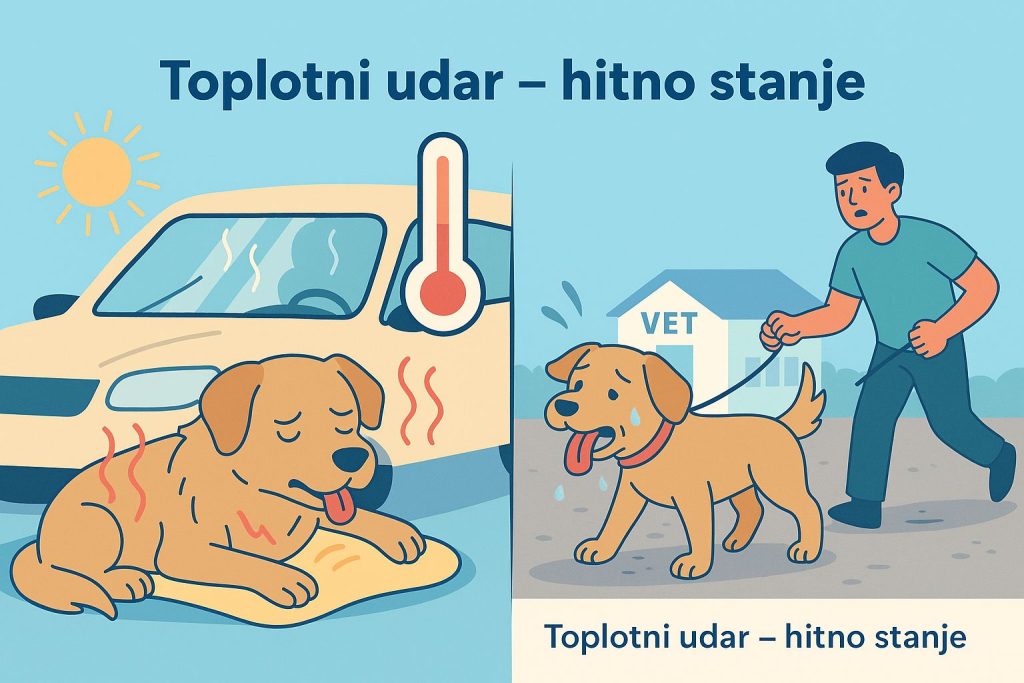 Ubrzano disanje kod pasa slika 6