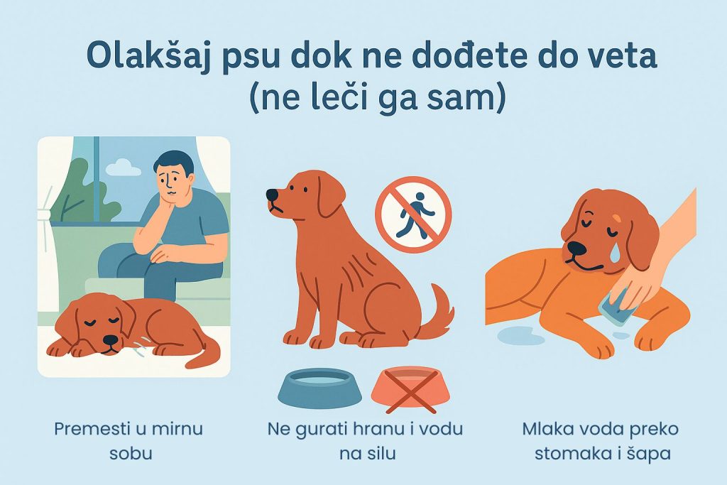 Ubrzano disanje kod pasa slika 7
