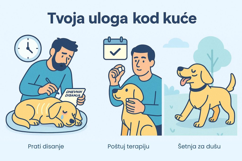 Ubrzano disanje kod pasa slika 8