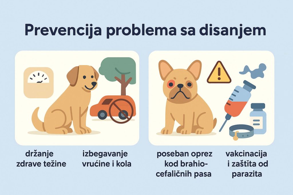 Ubrzano disanje kod pasa slika 9