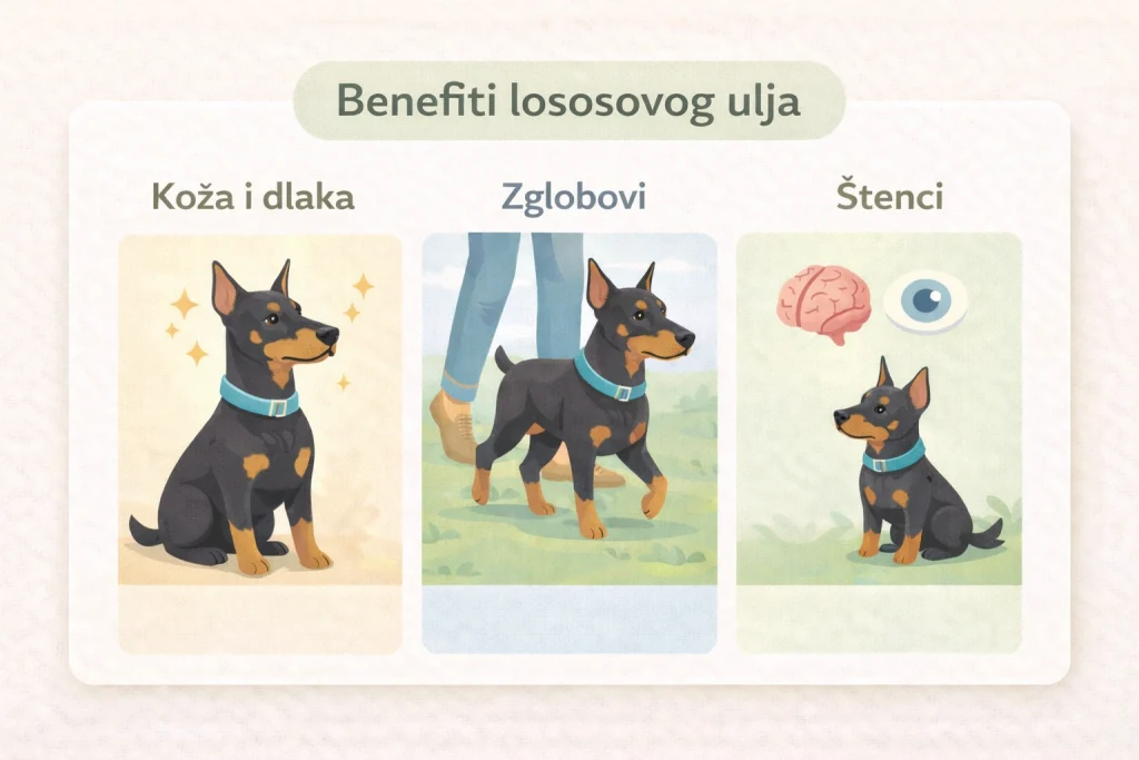 Lososovo ulje za pse slika 3