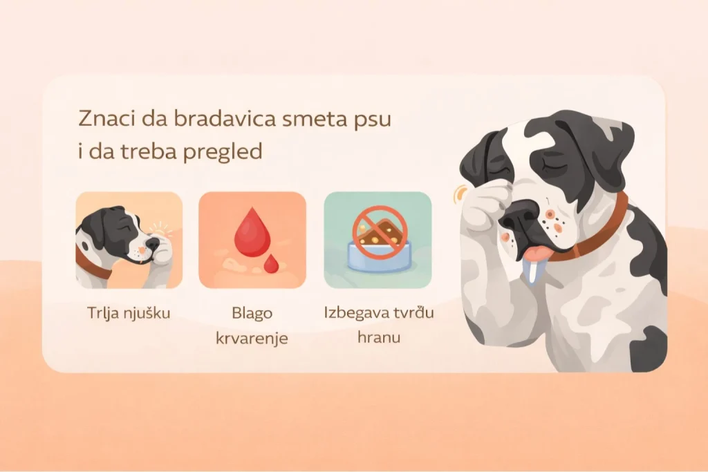 Papilomi kod pasa slika 4