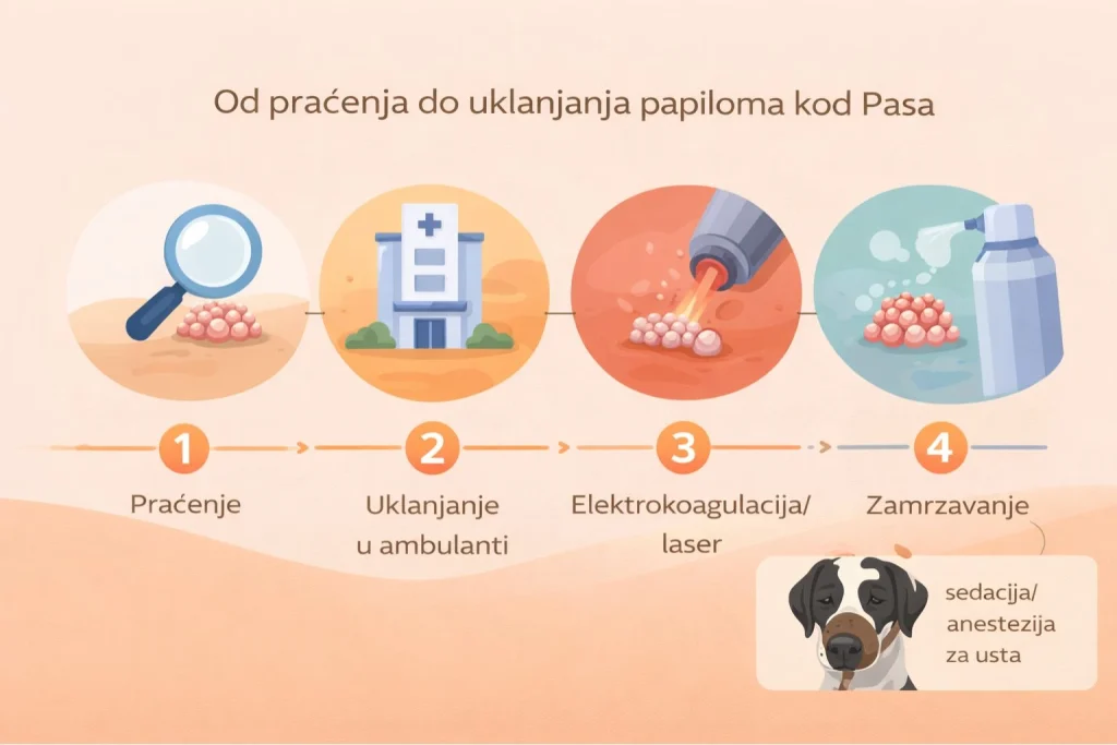 Papilomi kod pasa slika 5