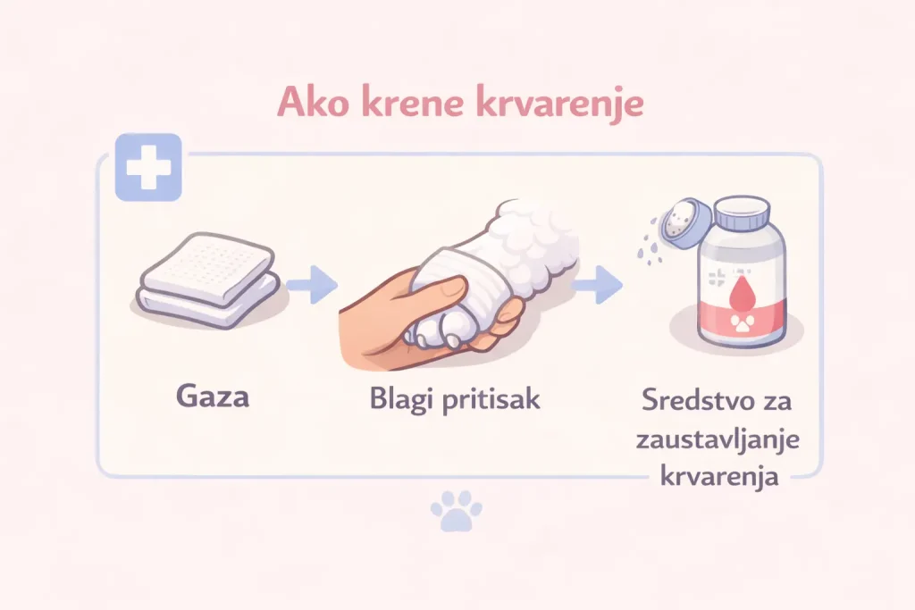 Sečenje noktiju kod pasa slika 6