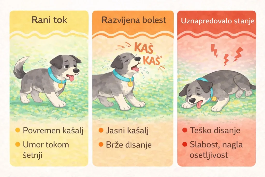 Srčani crv kod pasa slika 3