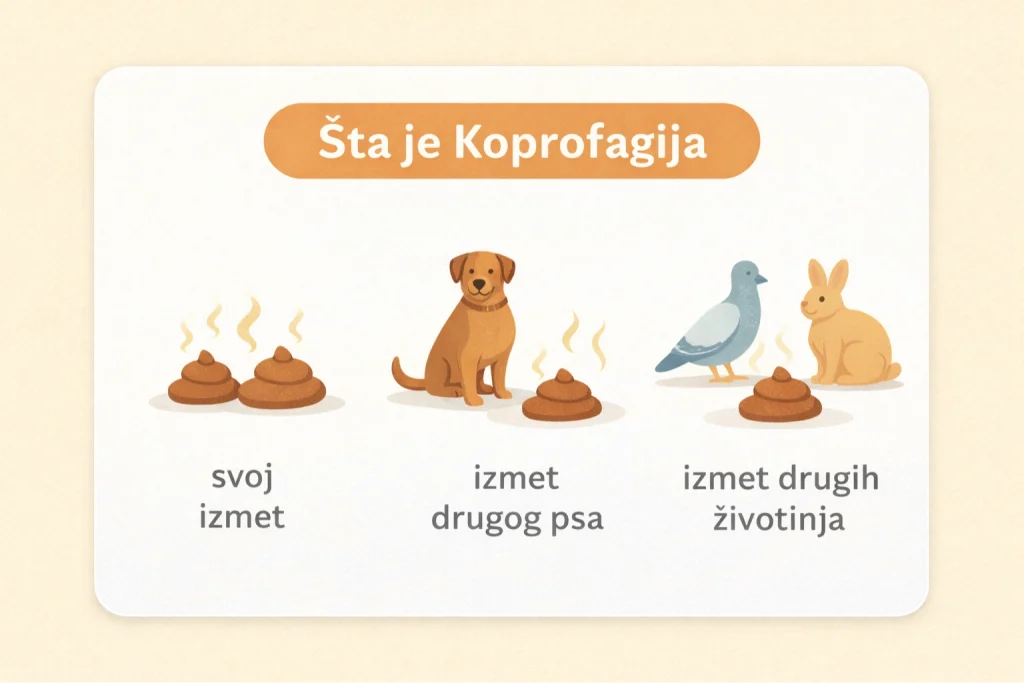 Zašto pas jede izmet slika 2
