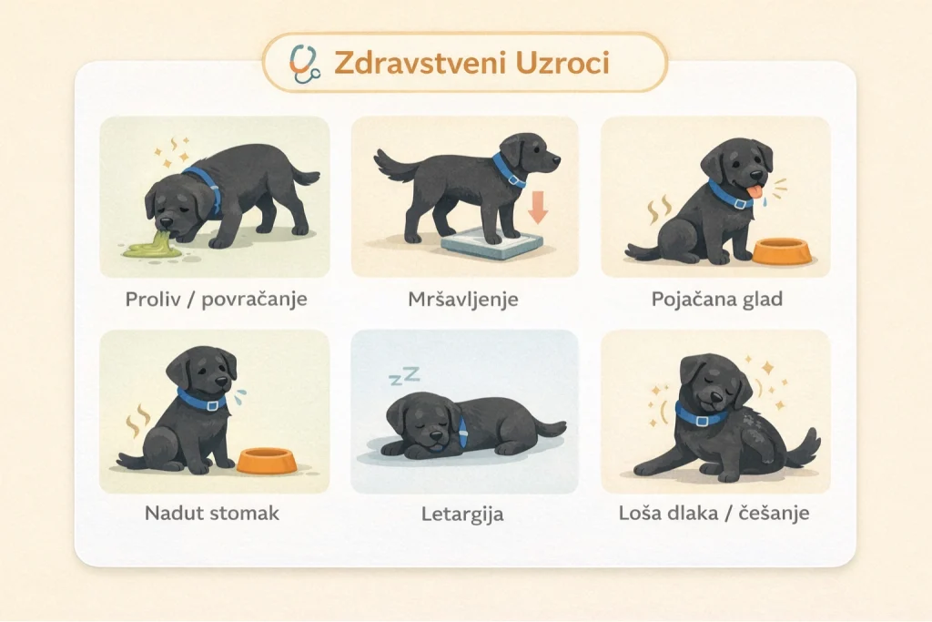 Zašto pas jede izmet slika 5