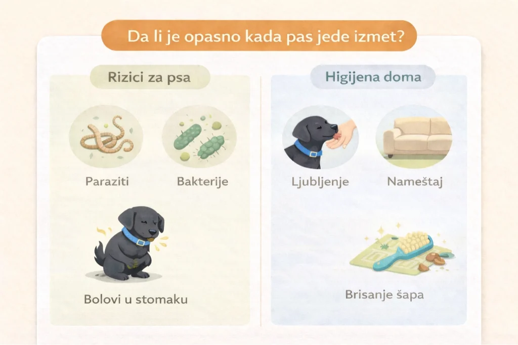 Zašto pas jede izmet slika 6
