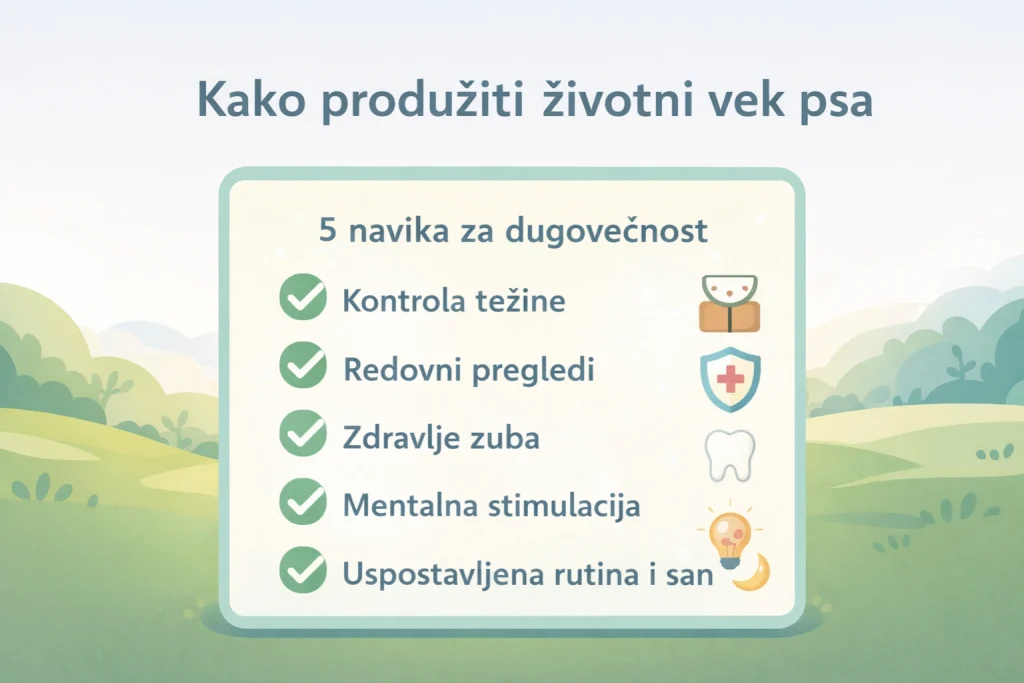 Životni vek pasa slika 3