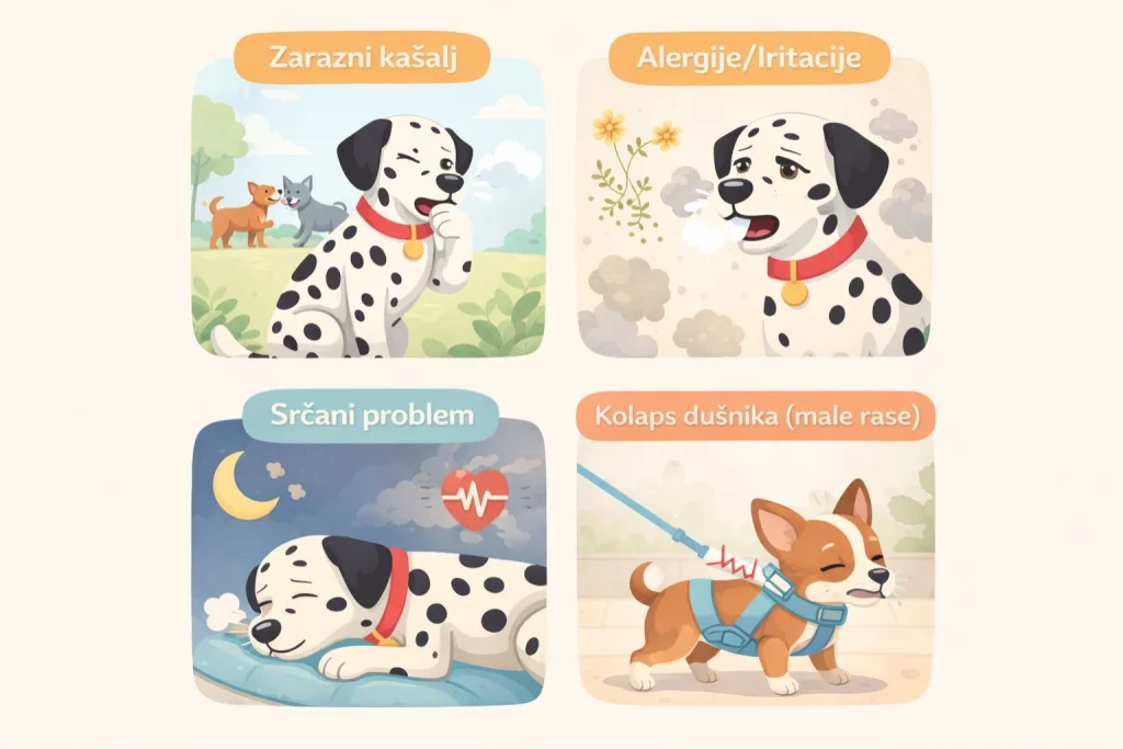 Kašalj kod pasa slika 4