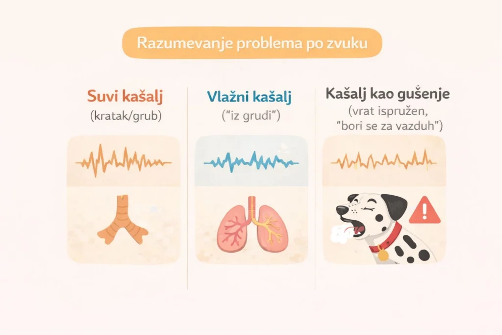 Kašalj kod pasa slika 5