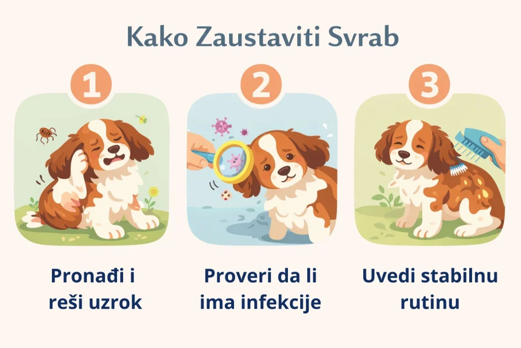 Svrab kod pasa slika 4