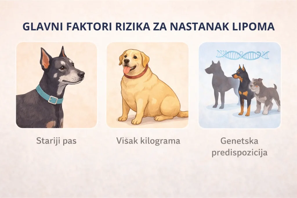 Lipomi-kod-pasa-slika-4 Lipomi kod pasa slika 4
