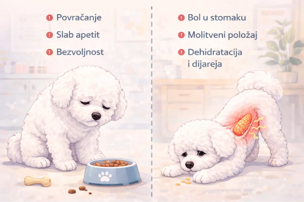 Pankreatitis kod pasa slika 3