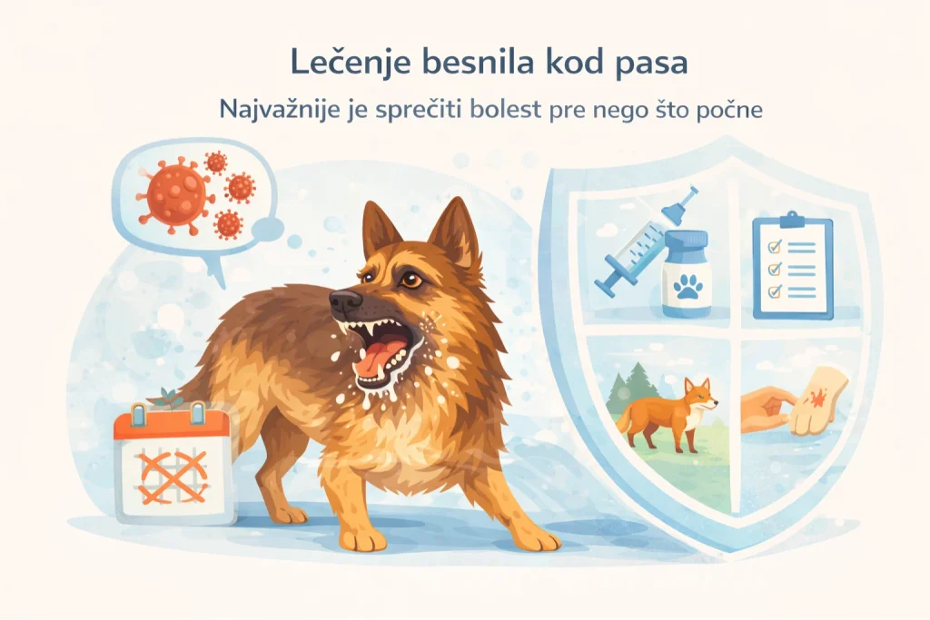 Besnilo kod pasa slika 5